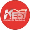 kesi_logo